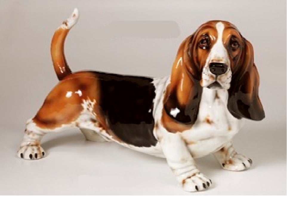 Basset Hound