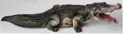 Crocodile