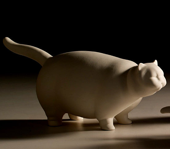 Gatto "gordo" bianco