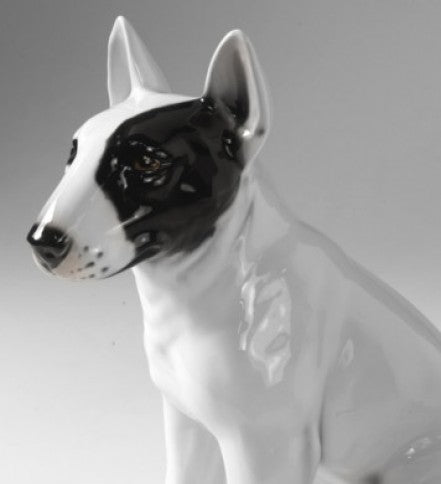 Bull Terrier