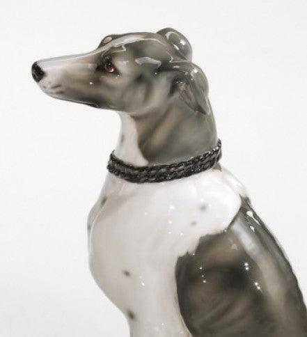 Whippet