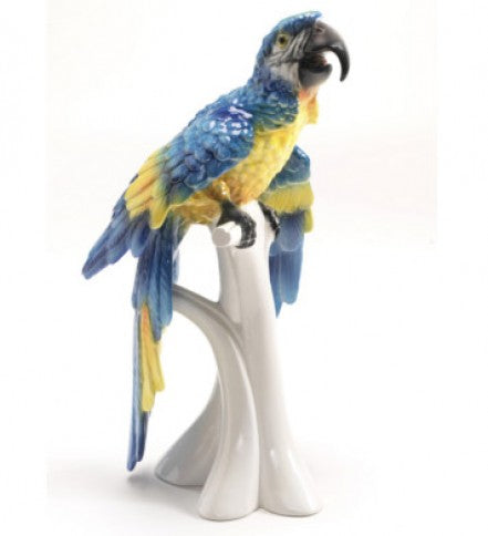 Pappagallo ara 51 cm