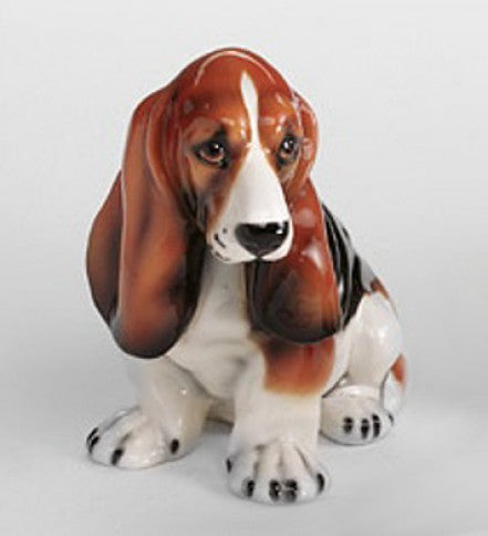 Basset Hound