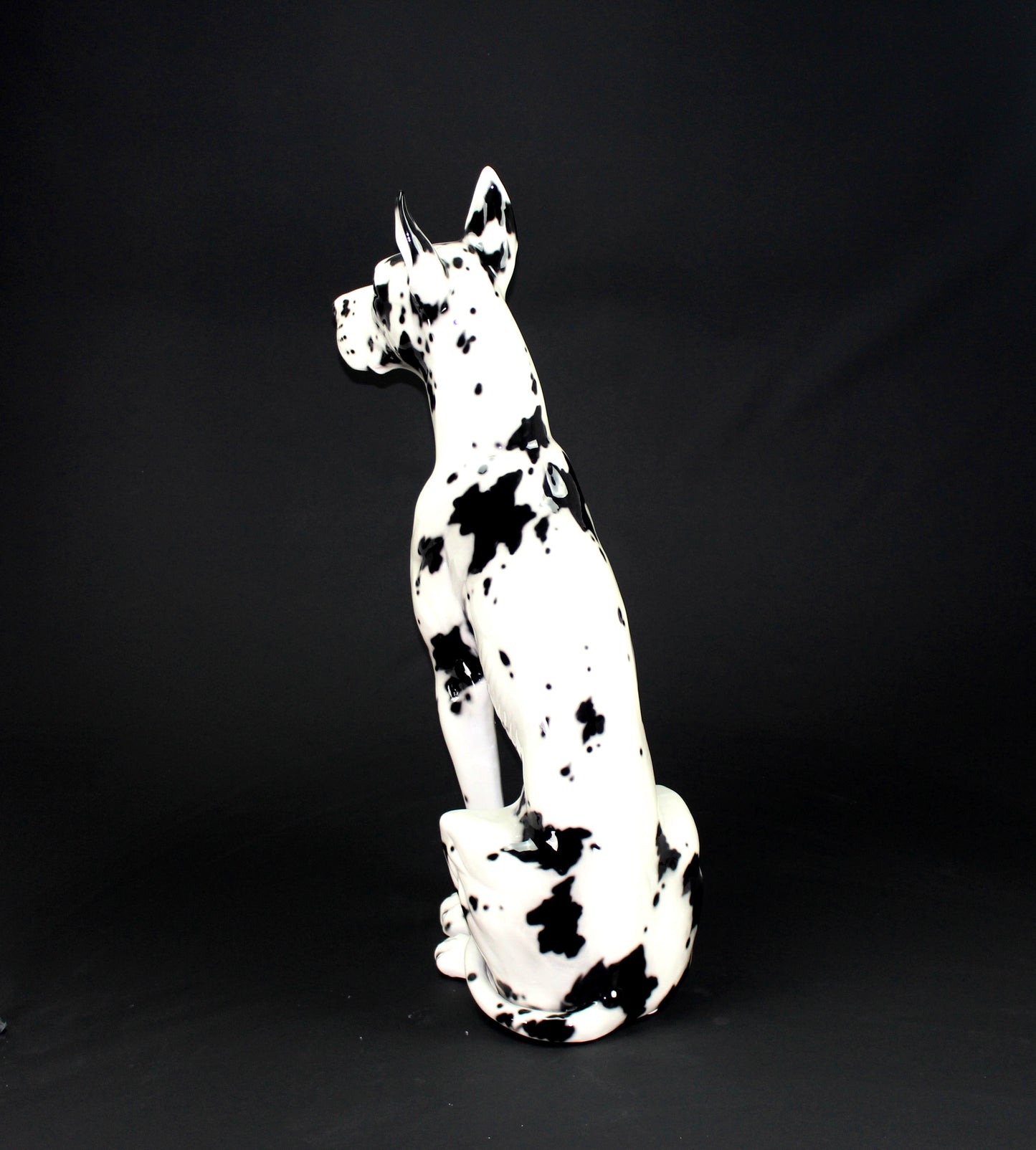 Alano arlecchino 105cm