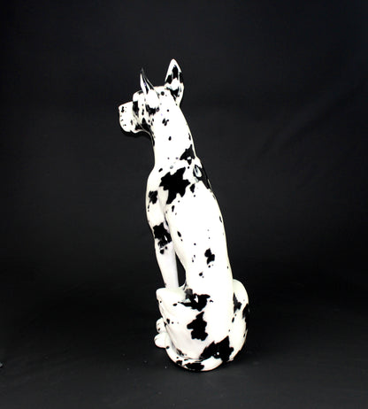 Alano arlecchino 105cm