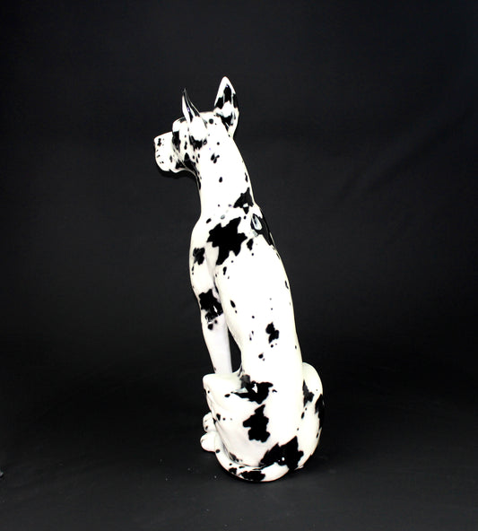 Alano arlecchino 105cm