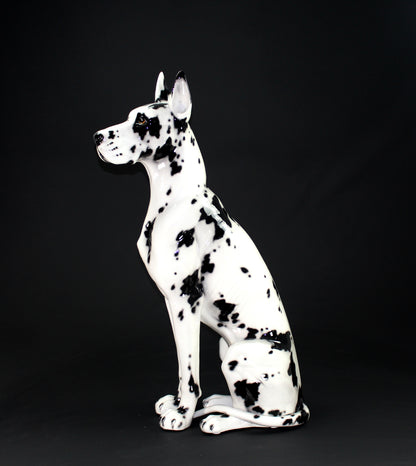 Alano arlecchino 105cm