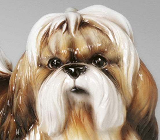 Shi-Tzu