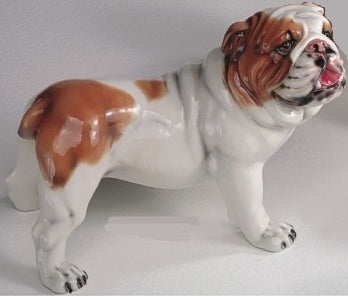 Bulldog
