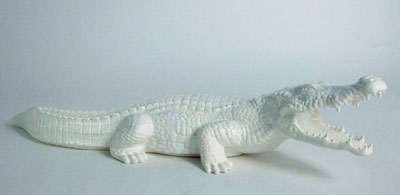 Coccodrillo