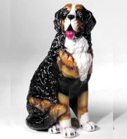 Swiss Mountain Dog