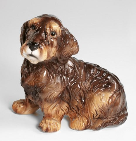 Wire-haired Dachshund