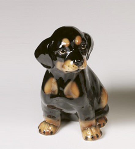 Rottweiler portascopino