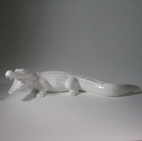 white crocodile