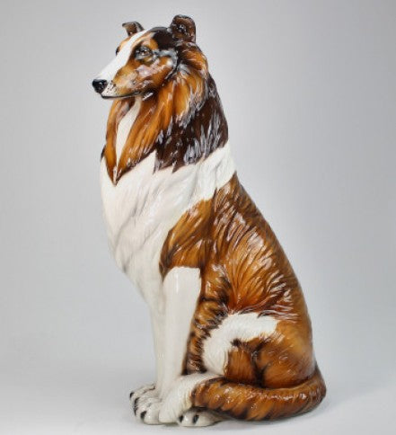 Collie