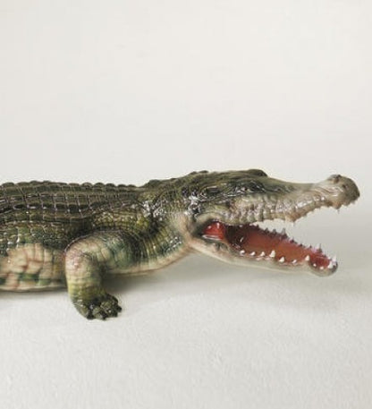 Crocodile