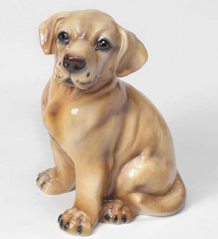 Cucciolo di Labrador Retriever