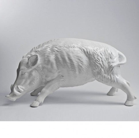 cinghiale bianco lucido