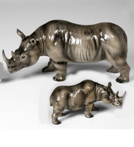 Rinoceronte con cucciolo