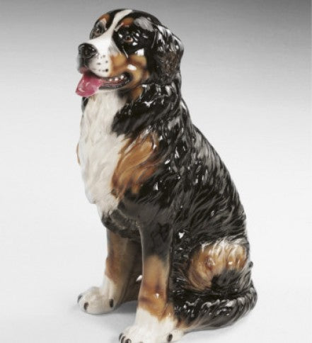 Bernese Mountain Dog