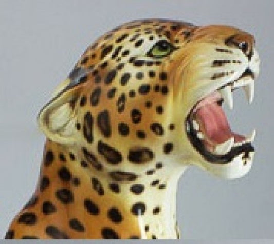Leopardo