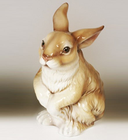 Coniglio portascopino