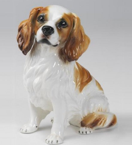 Cavalier King Charles