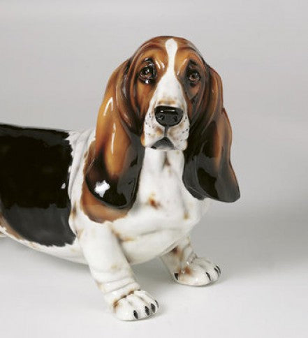 Basset Hound