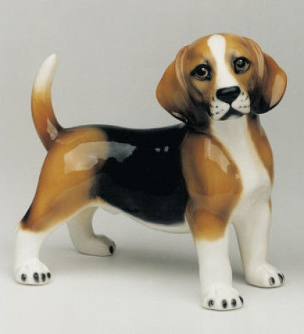 Beagle