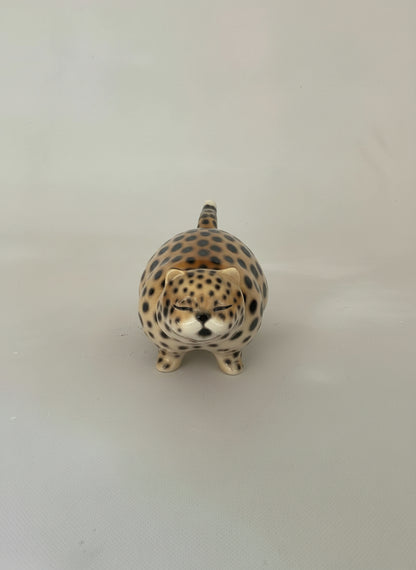 Gatto gordo maculato