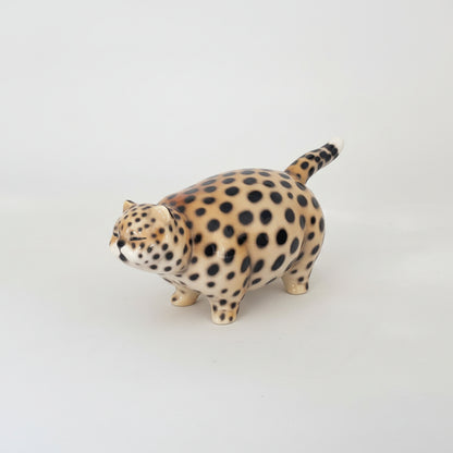 Gatto gordo maculato