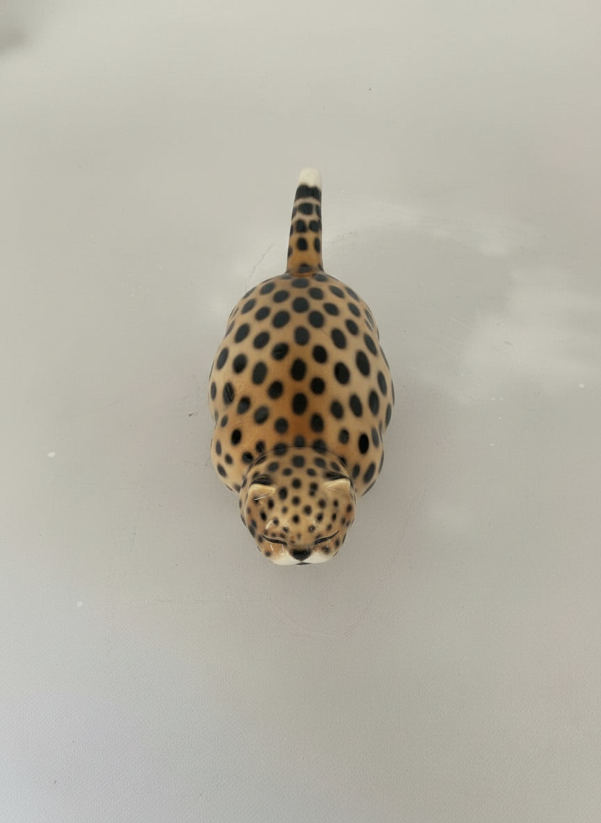 Gatto gordo maculato